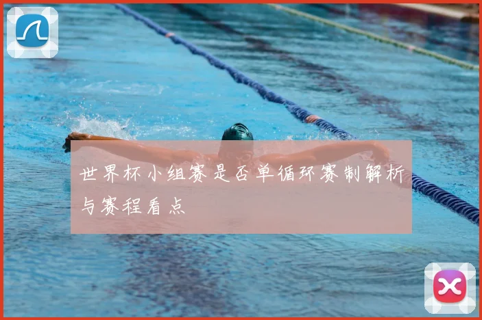 世界杯小组赛是否单循环赛制解析与赛程看点