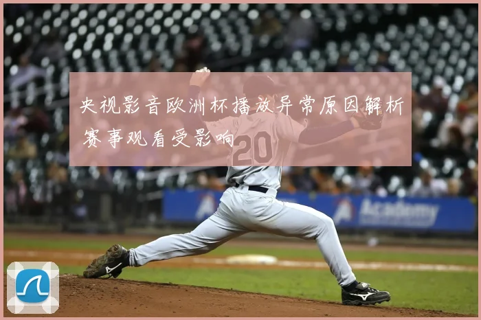 央视影音欧洲杯播放异常原因解析 赛事观看受影响